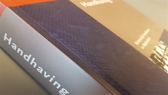 handhaving handhaving