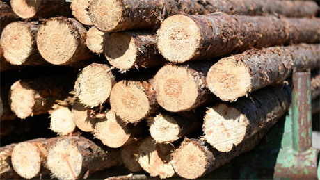 Afbeelding van hout