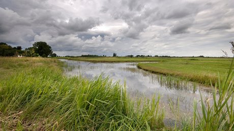 water-waterschap-waterwet-landschap-met-water